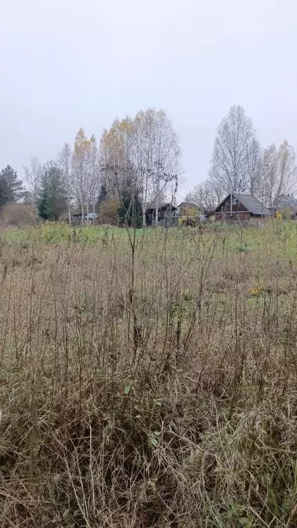 Участок в Московская область, Талдомский городской округ, д. ... - Фото 2