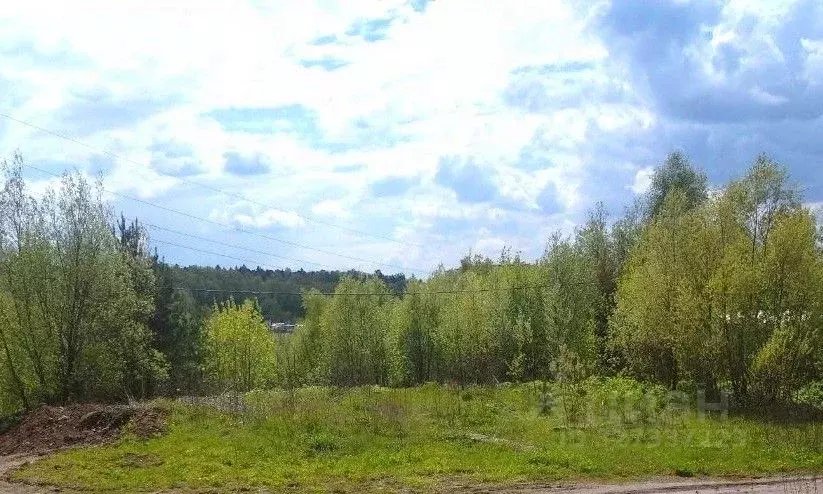 Участок в Московская область, Пушкинский городской округ, Поляны СТ  ... - Фото 1