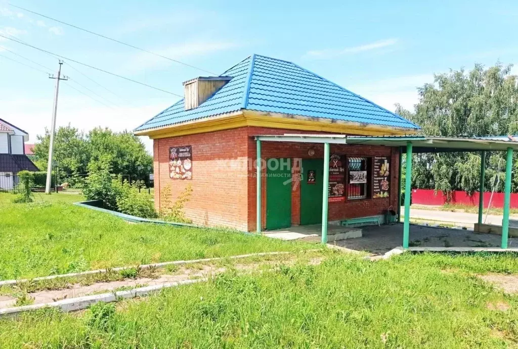 Помещение свободного назначения в Алтайский край, Белокуриха пер. ... - Фото 1