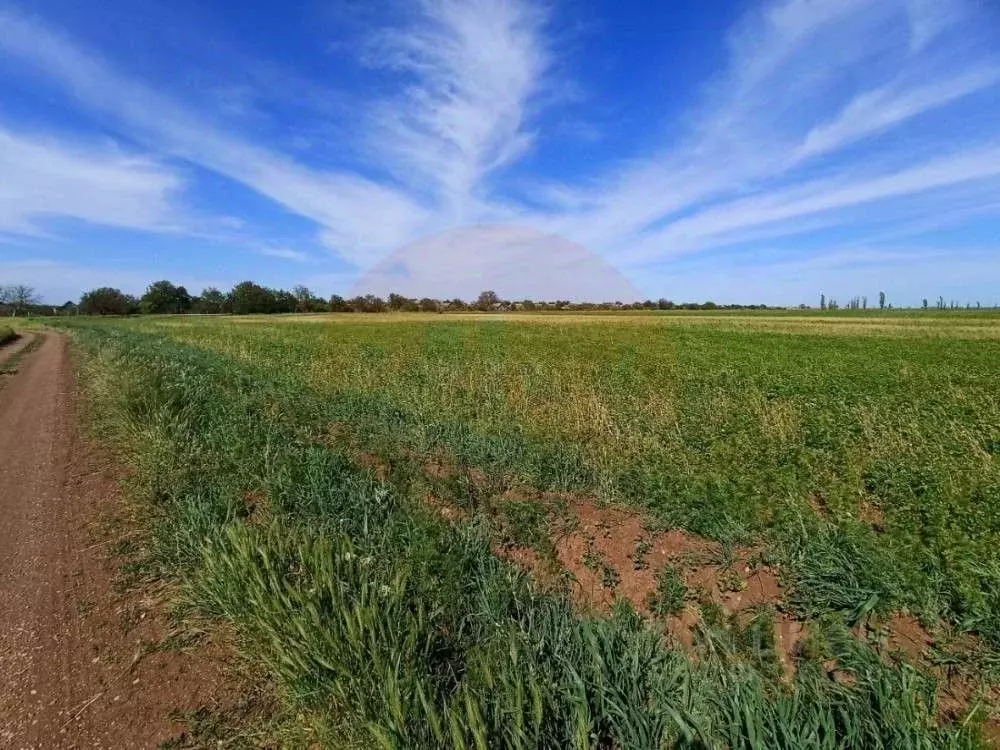 Участок в Крым, Сакский район, с. Лесновка ул. Садовая (7.39 сот.) - Фото 1