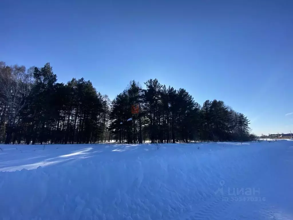 Участок в Тюменская область, Тюменский район, д. Падерина Луговая ул. ... - Фото 0