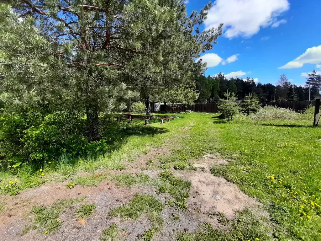 Участок в Московская область, Павловский Посад  (9.0 сот.) - Фото 2