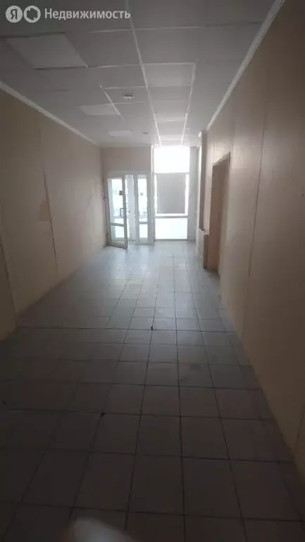 Торговая площадь (24.5 м) - Фото 2