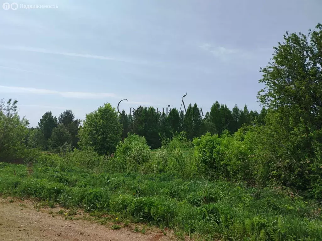 Участок в Чернушка, Пригородная улица (14 м) - Фото 2