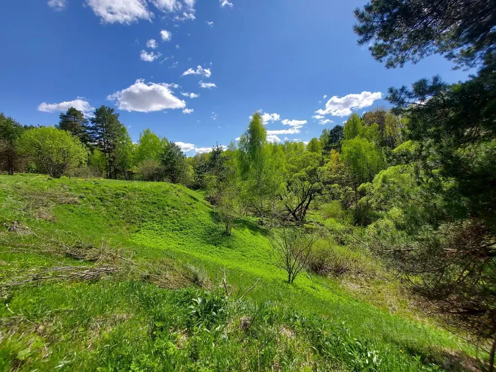 Участок в Тульская область, Заокский район, Страховское с/пос, ... - Фото 0