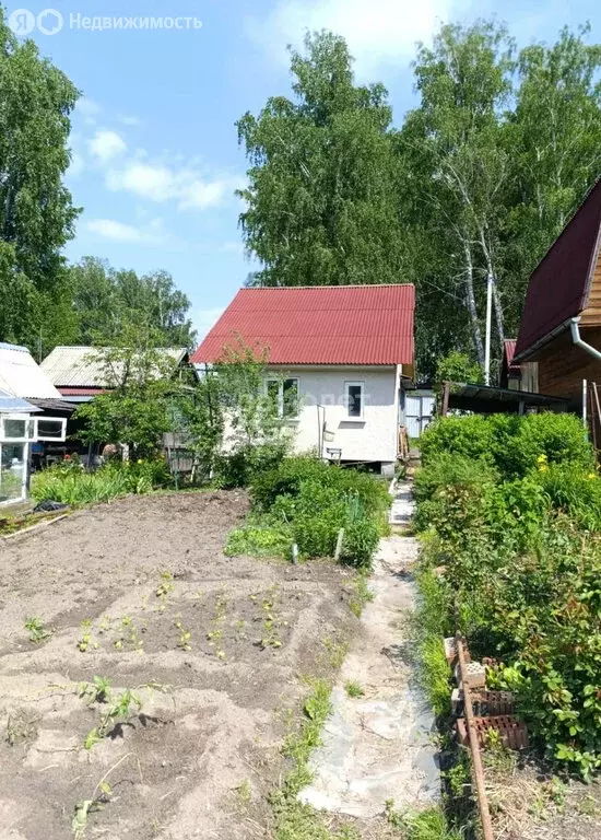 Дом в Барышевский сельсовет, садовое товарищество Строитель (30 м) - Фото 1