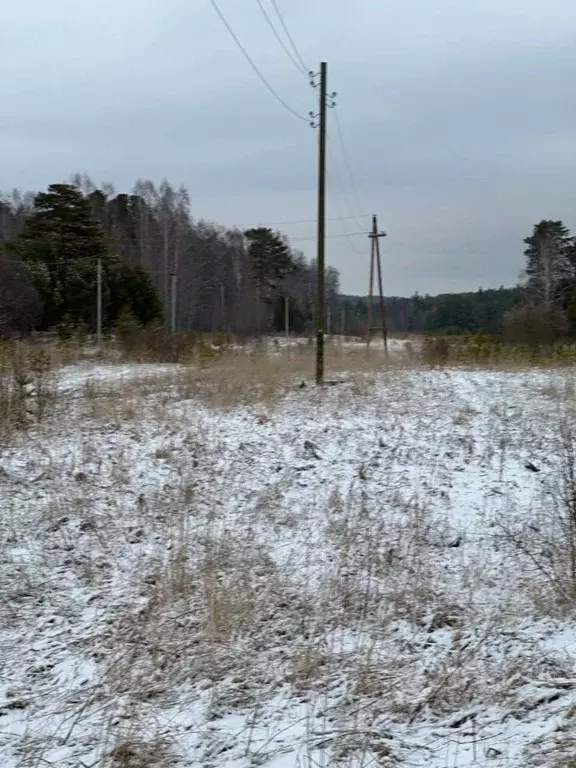 Участок в Красноярский край, Емельяновский район, Никольский ... - Фото 0