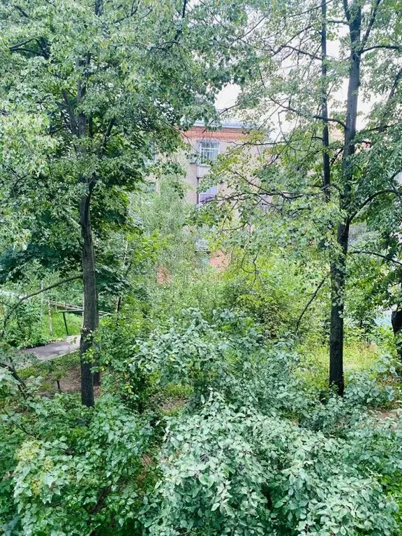 1-к кв. Московская область, Дзержинский Спортивная ул., 10 (30.0 м) - Фото 1