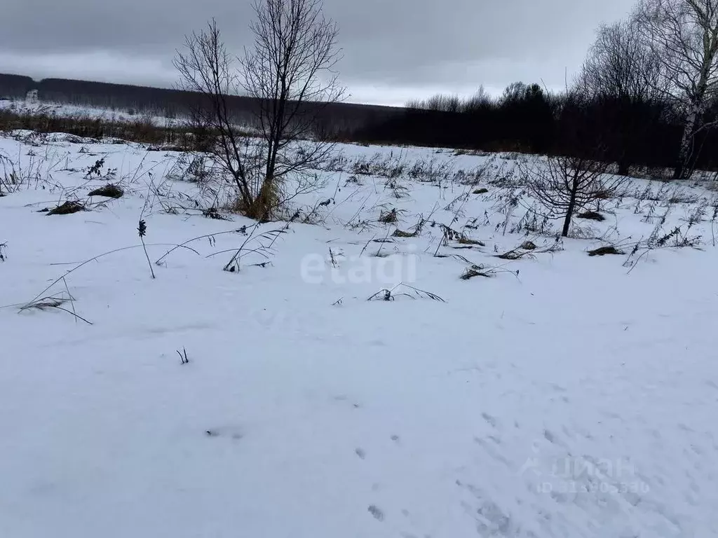 Участок в Нижегородская область, Дальнеконстантиновский муниципальный ... - Фото 0