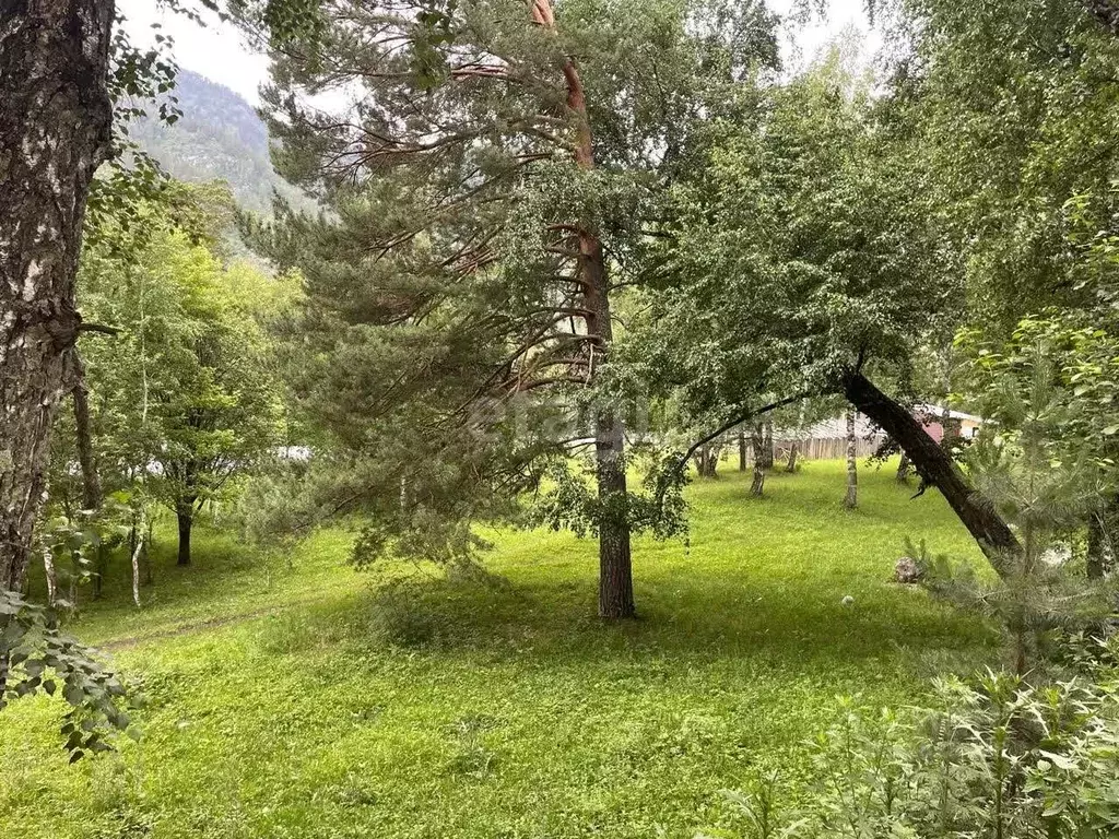 Участок в Алтай, Чемальский район, с. Узнезя  (20.0 сот.) - Фото 0