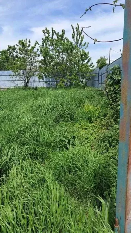 Участок в Ставропольский край, Предгорный муниципальный округ, с. Юца ... - Фото 1