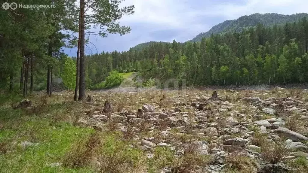 Участок в Чемальский район, Чемальский тракт (88.66 м) - Фото 1