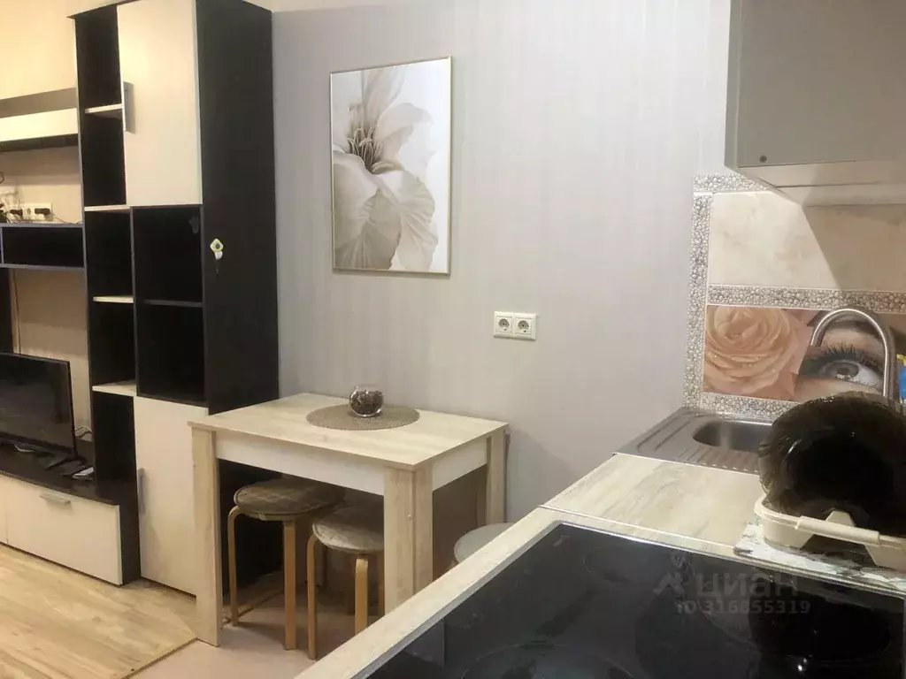 Студия Краснодарский край, Сочи Виноградная ул., 135/13 (30.0 м) - Фото 1