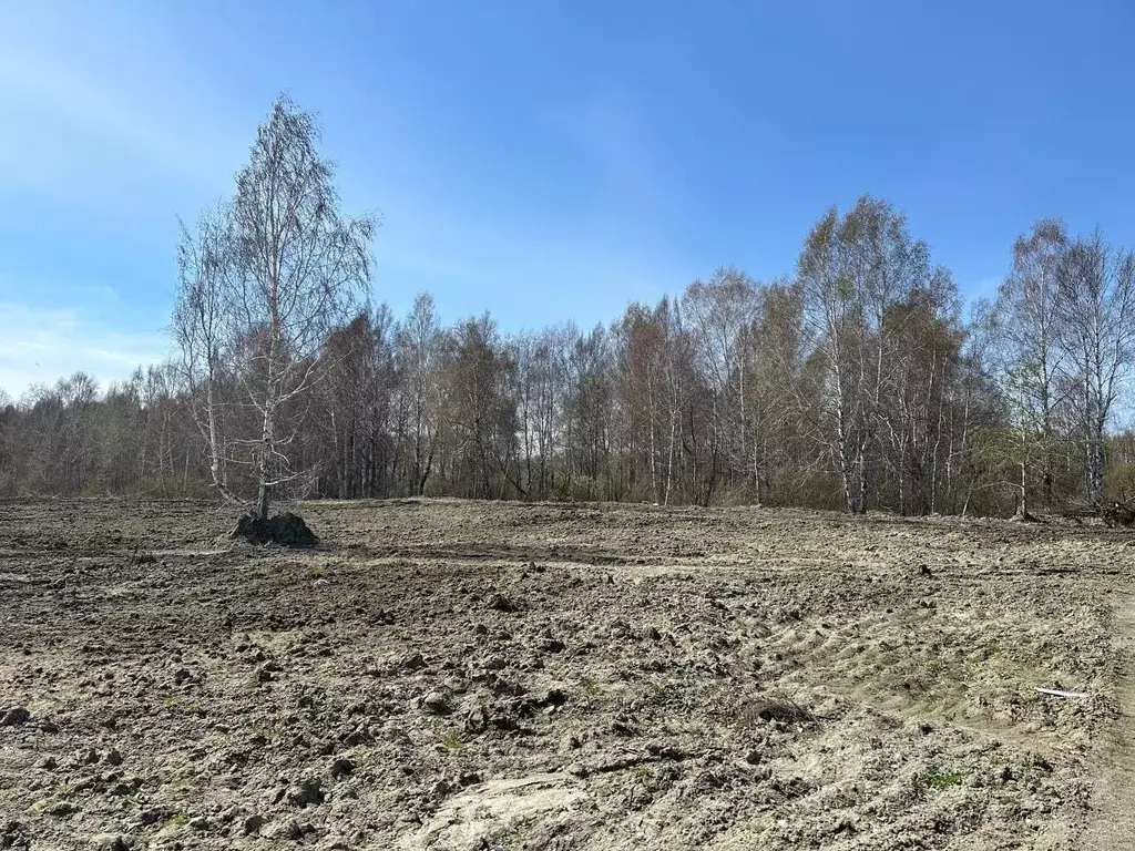 Участок в Тюменская область, Тюменский район, с. Горьковка  (6.0 сот.) - Фото 1