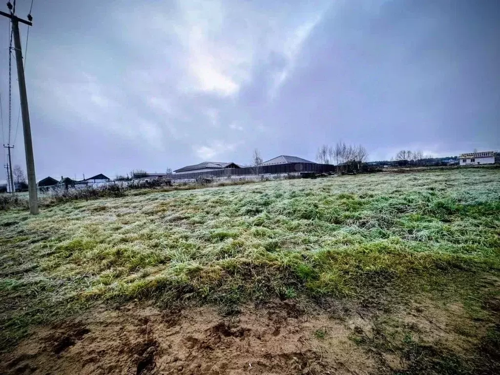 Участок в Владимирская область, Ковровский район, Новосельское с/пос, ... - Фото 2