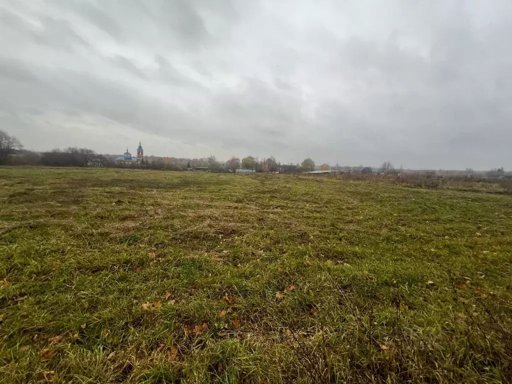 Участок в Тульская область, Щекинский район, Лазаревское с/пос, с. ... - Фото 1