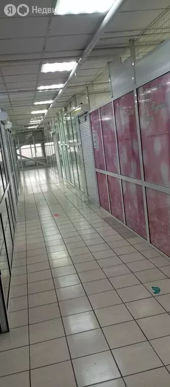 Помещение свободного назначения (113 м) - Фото 2