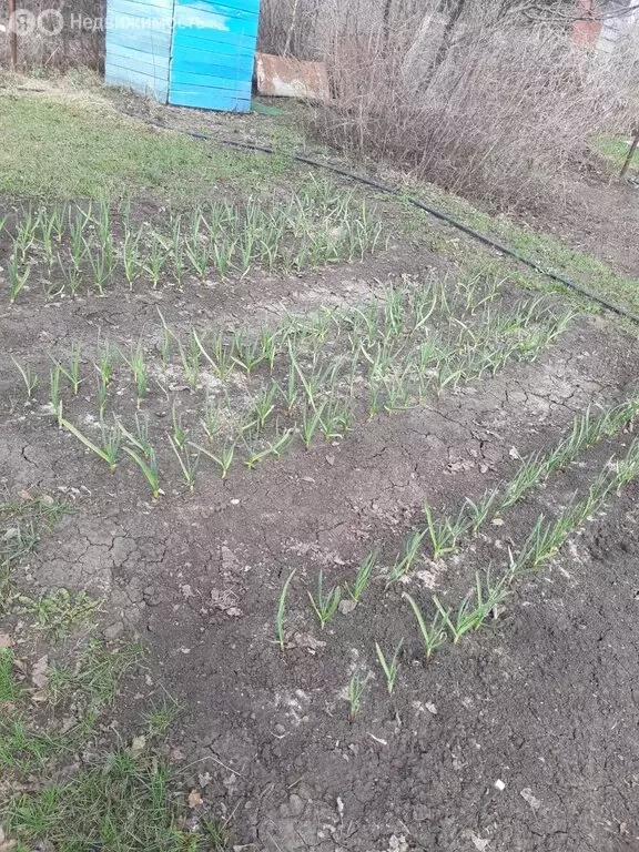 Участок в село Вязовка, Совхозная улица (12.3 м) - Фото 0