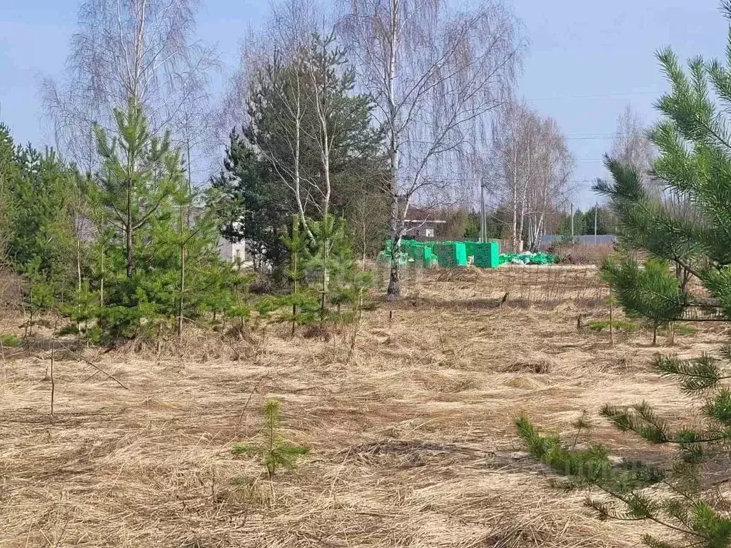 Участок в Владимирская область, Муром с. Ковардицы, ул. Каштановая ... - Фото 1