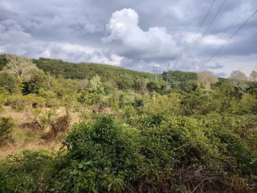 Участок в Краснодарский край, Геленджик городской округ, с. ... - Фото 1