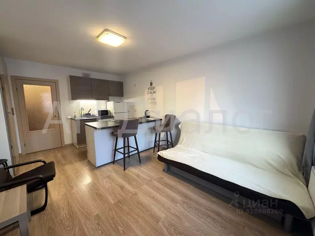 Студия Свердловская область, Екатеринбург ул. Рассветная, 8к3 (30.0 м) - Фото 2