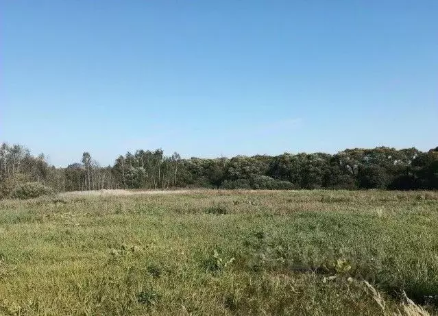 Участок в Московская область, Дмитровский муниципальный округ, д. ... - Фото 1