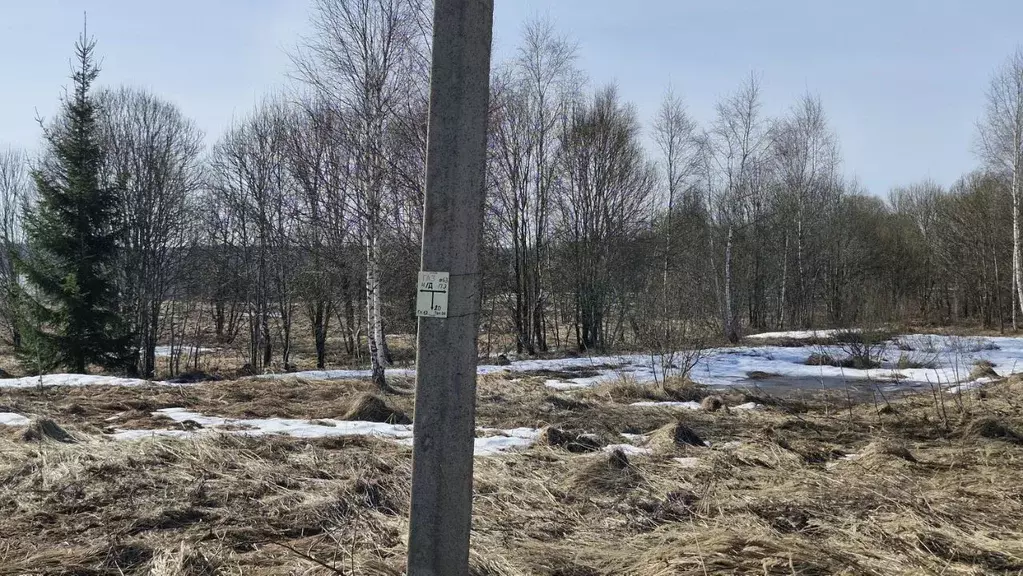 Участок в Калужская область, Медынский муниципальный округ, Брюхово ... - Фото 2