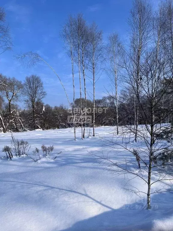 Участок в Тульская область, Заокский район, Страховское с/пос, д. ... - Фото 2