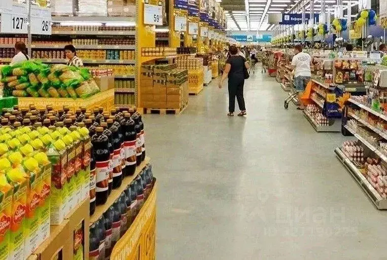 Торговая площадь в Калининградская область, Багратионовский ... - Фото 2