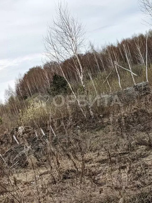 Участок в Тюменская область, Тюменский район, д. Большие Акияры  (8.25 ... - Фото 1