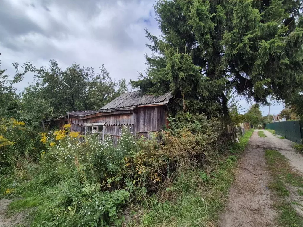 Участок в Брянская область, Брянск Дружба садовое общество, ул. ... - Фото 1