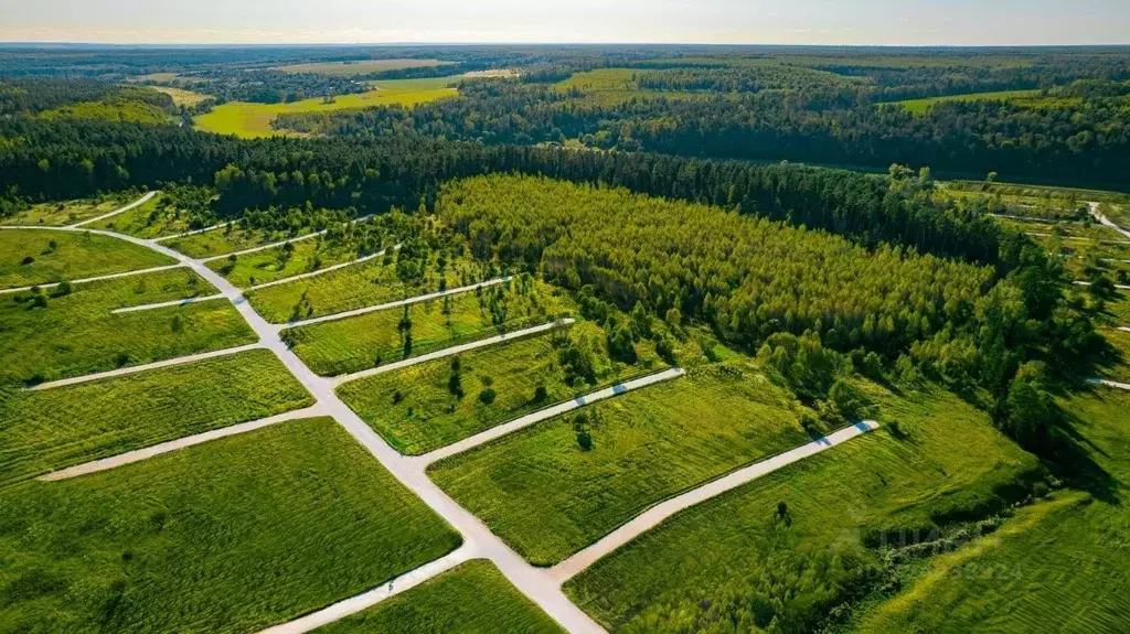 Участок в Московская область, Ступино городской округ, д. Лапино  ... - Фото 2