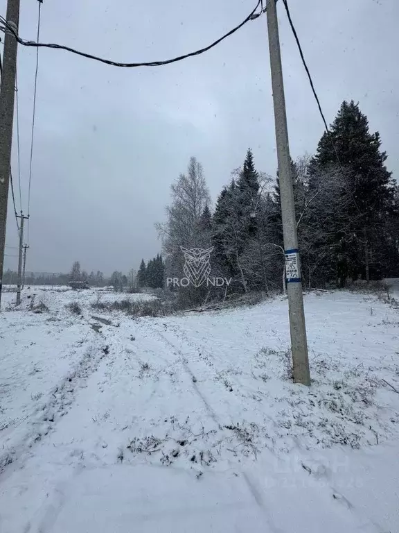 Участок в Московская область, Щелково городской округ, Море кп  (7.7 ... - Фото 1