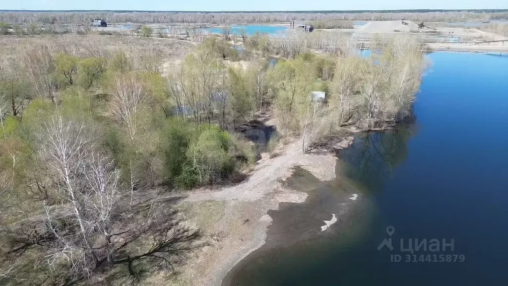 Участок в Алтайский край, Советский район, с. Шульгинка ул. 1-я ... - Фото 2