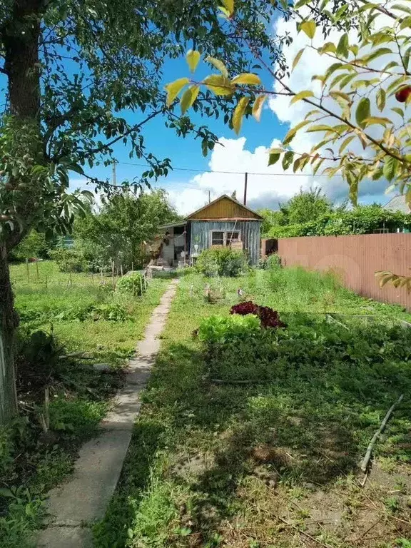 Дача 25 м на участке 14,5 сот. - Фото 1