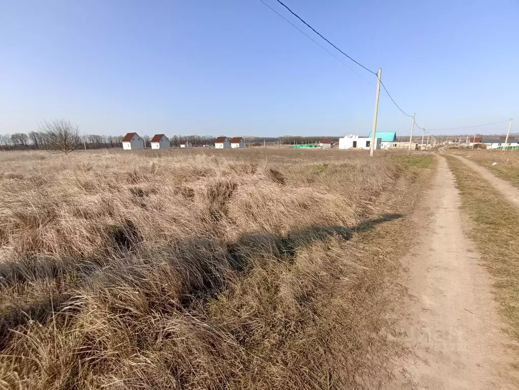 Участок в Краснодарский край, Темрюкский район, Краснострельское ... - Фото 2