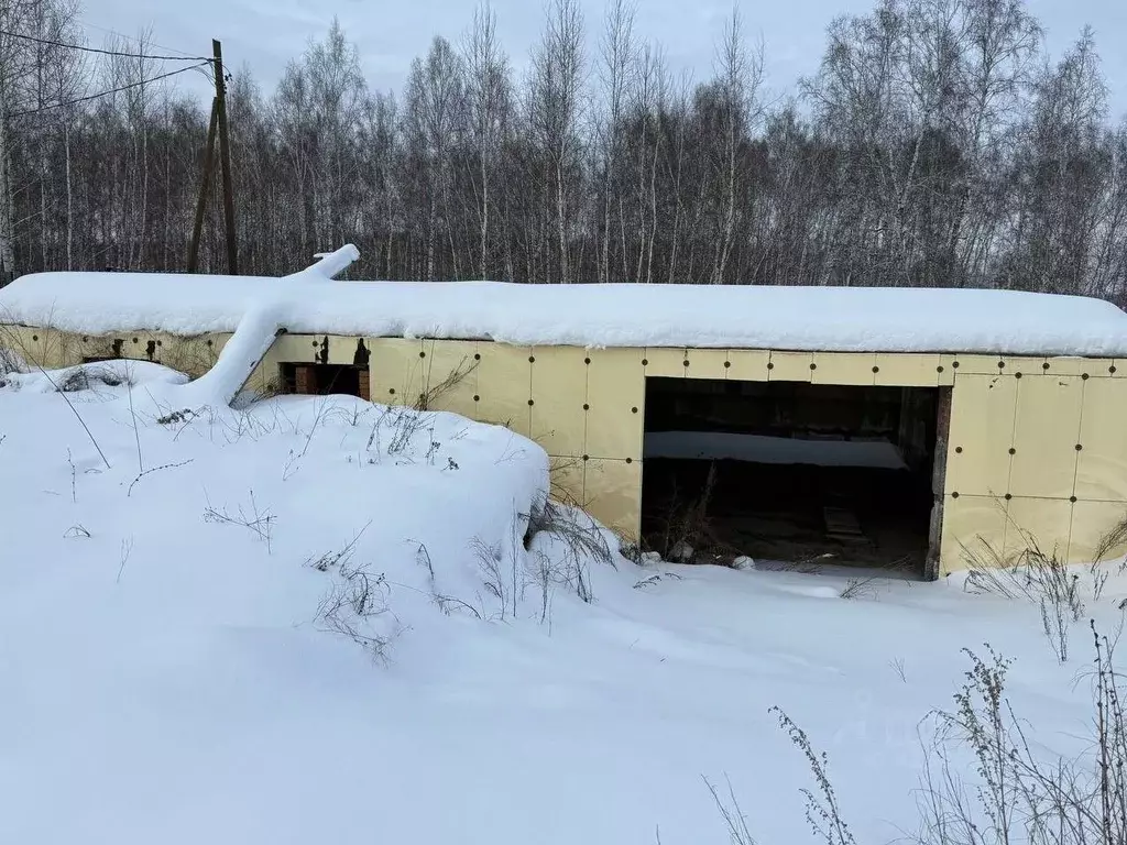 Участок в Челябинская область, Сосновский муниципальный округ, пос. ... - Фото 1