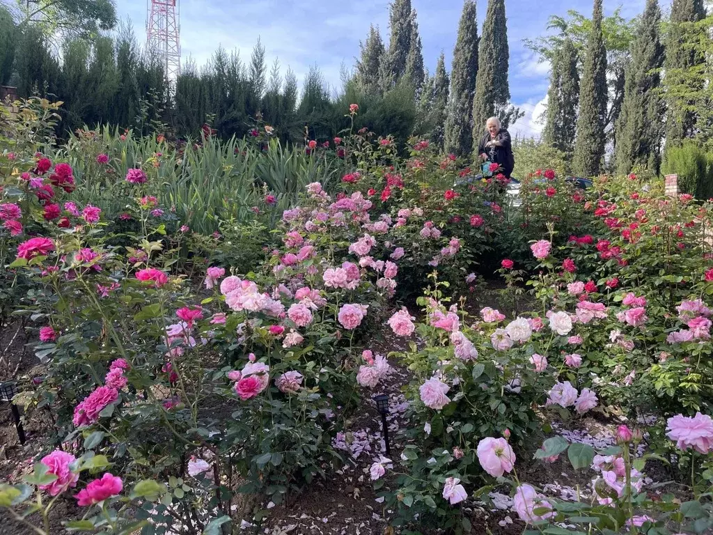 Комната Крым, Ялта ул. Халтурина, 49Б (18.0 м) - Фото 1