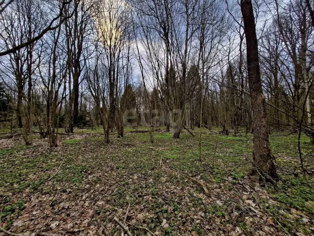 Участок в Смоленская область, Смоленск пос. Пасово,  (10.0 сот.) - Фото 1