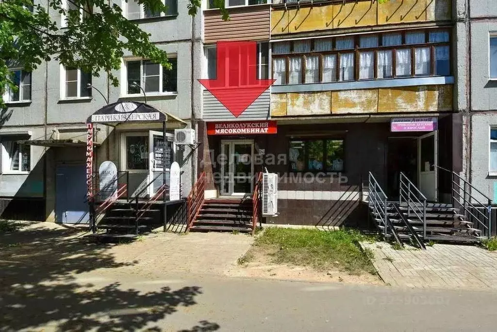 Торговая площадь в Новгородская область, Великий Новгород просп. Мира, ... - Фото 1