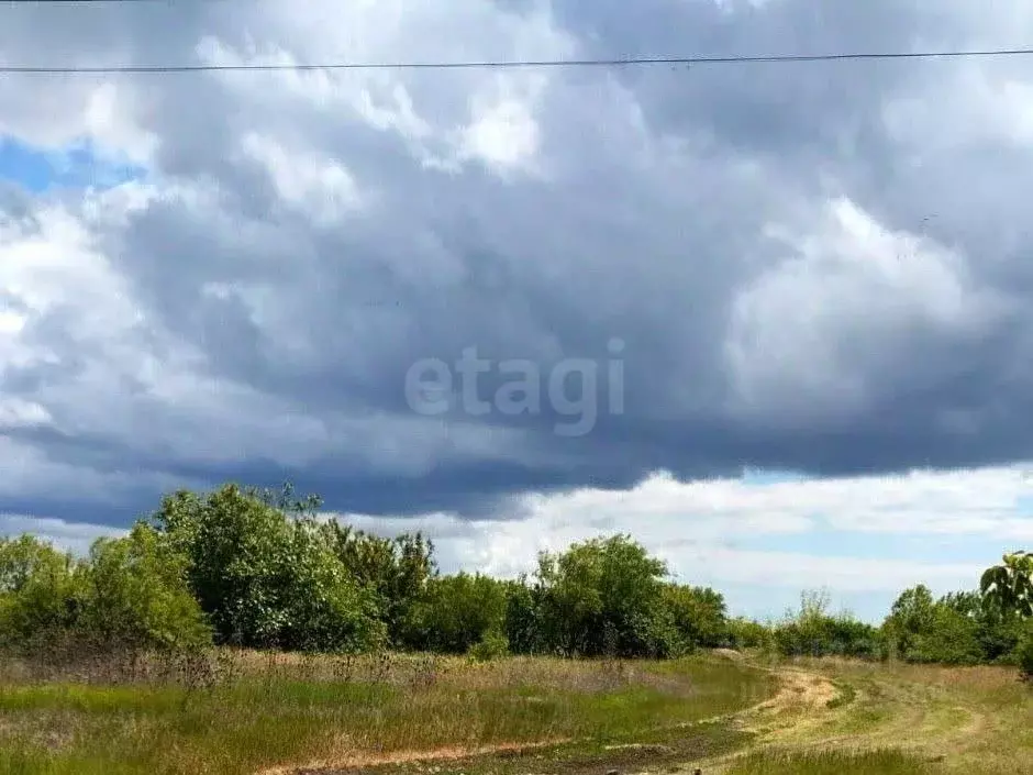 Участок в Крым, Кировский район, Синицынское с/пос, с. Васильковое ул. ... - Фото 1