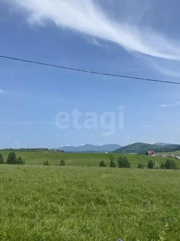 Участок в Алтай, с. Чоя ул. Солдатская, 17 (16.83 сот.) - Фото 1