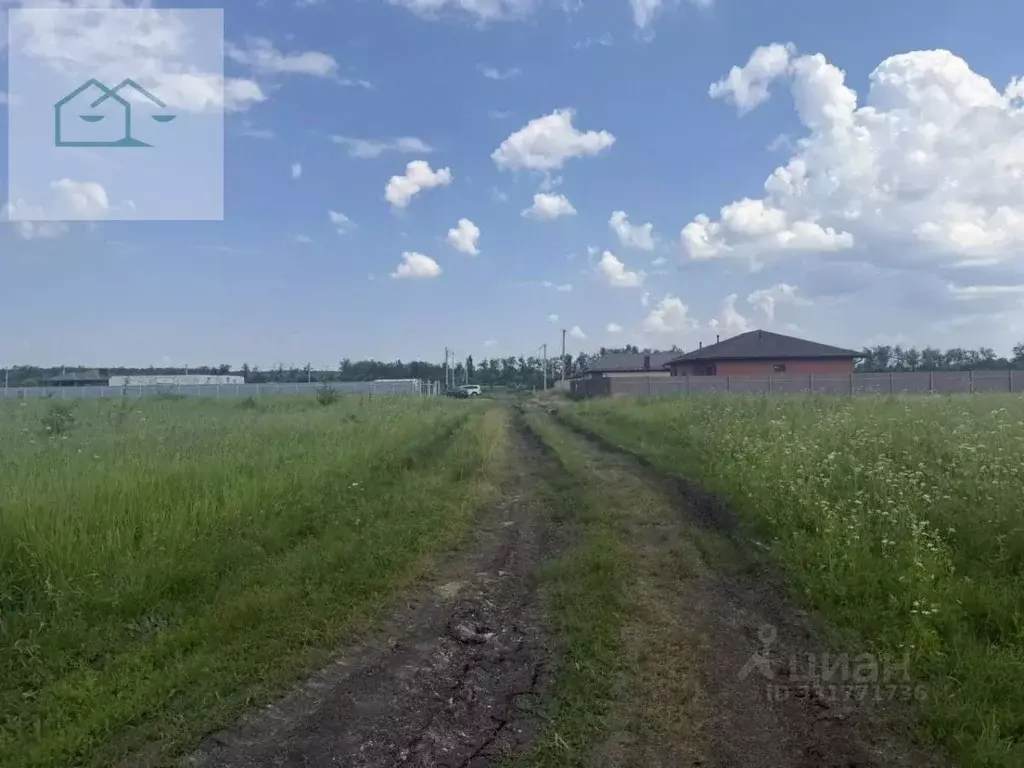 Участок в Воронежская область, Хохольский район, с. Гремячье Садовая ... - Фото 2