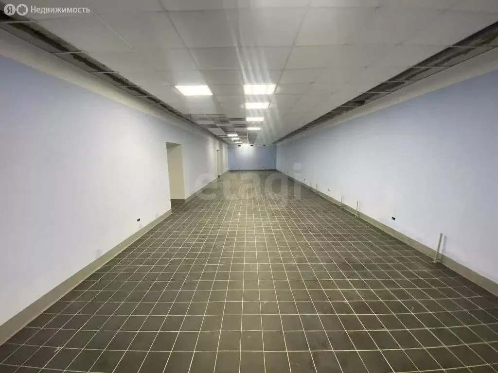 Торговая площадь (1015.1 м) - Фото 2