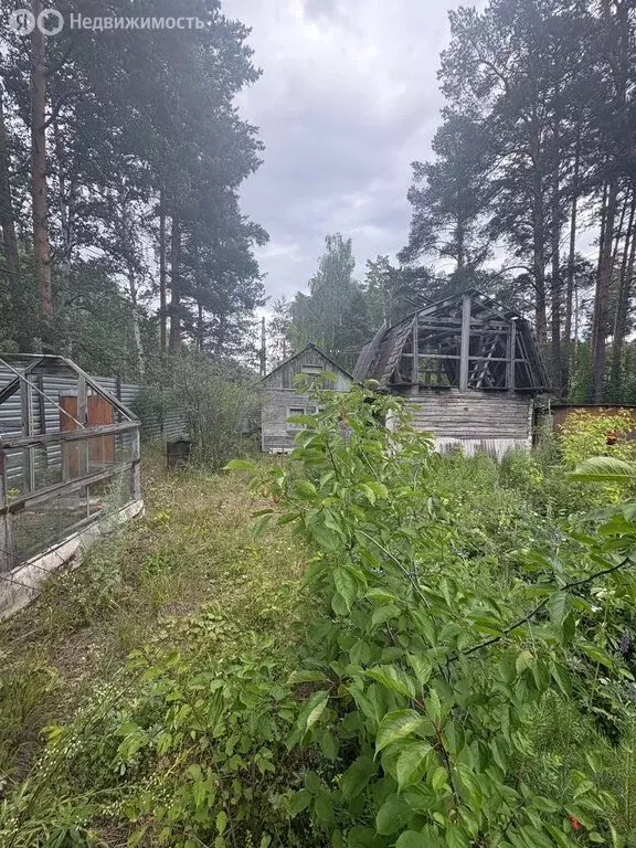 Участок в Екатеринбург, СНТ Запад, 2 (10 м) - Фото 1