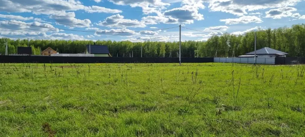 Участок в Московская область, Домодедово городской округ, д. Минаево, ... - Фото 1