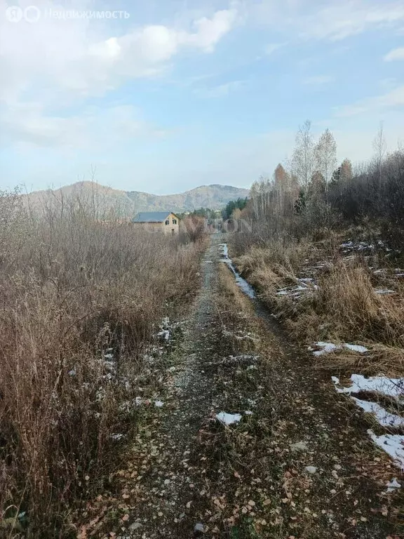 Участок в Манжерокское сельское поселение, село Озёрное, Таёжная улица ... - Фото 1