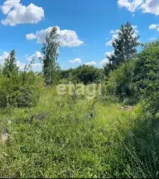 Участок 15 сот. (ИЖС) - Фото 0