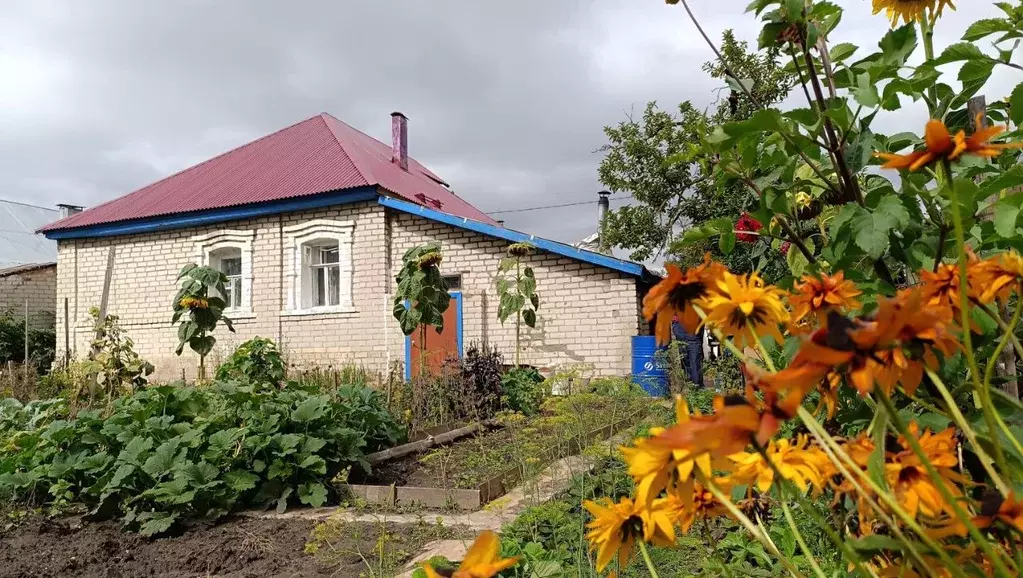 Дом в Нижегородская область, Бор ул. Котовского, 19 (62 м) - Фото 1