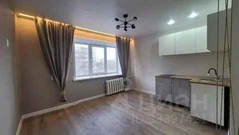Студия Пермский край, Пермь ул. Пушкина, 108А (19.0 м) - Фото 1
